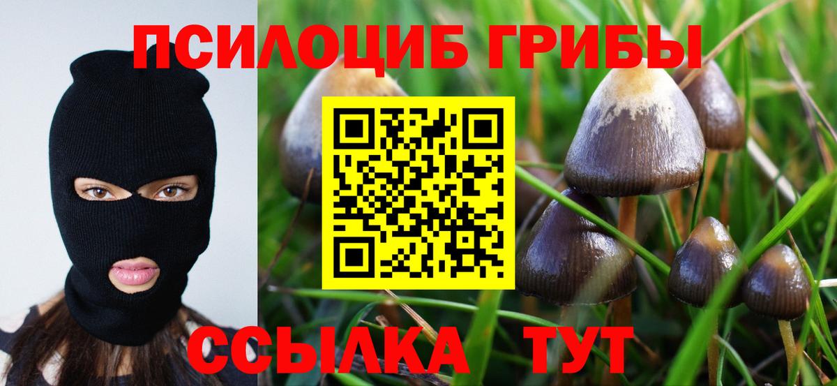 Псилоцибиновые грибы мухоморы  Вход с VPN  где купить   Элиста 